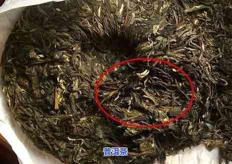 三公斤普洱茶饼多少钱？最新图片与价格一览