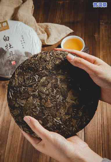 白牡丹茶饼是普洱吗-白牡丹茶饼是普洱吗