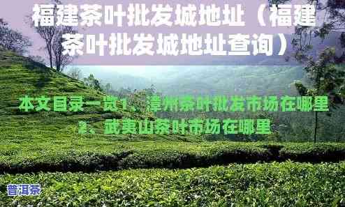 福州普洱茶叶场在哪里，寻找福州普洱茶叶？场位置全在这！