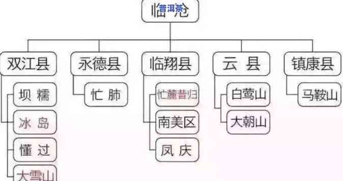 普洱茶初心茶的产地及特点详解，价格一览