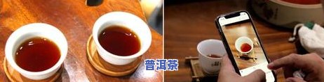 初心普洱茶熟茶200克-初心普洱茶的价格