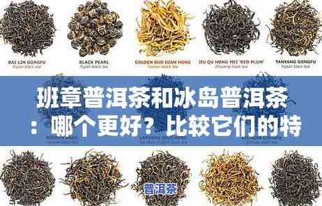 深入解析：老班章老茶的口感及其正宗特点