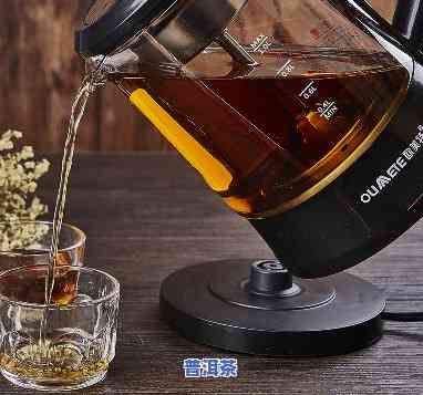 普洱可以用蒸茶器吗-普洱可以用蒸茶器吗为什么