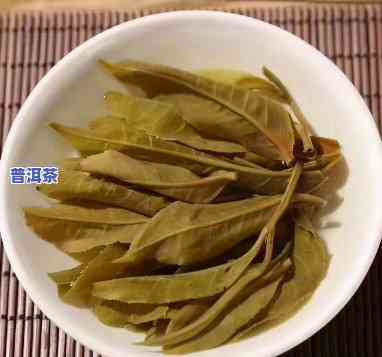 老班章古树茶：种类、特点与功效全揭秘