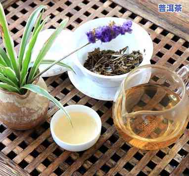 普洱茶生茶紧压茶价格100克是多少？