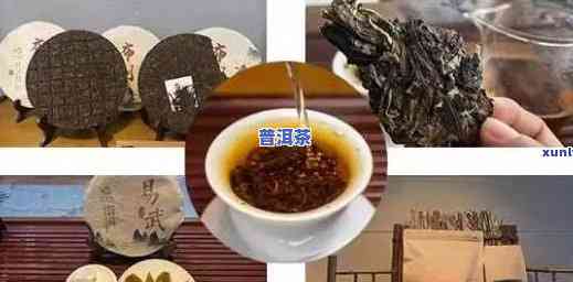 容易生结石能喝普洱茶吗，易结石体质能否饮用普洱茶？