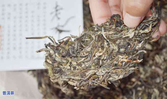 普洱茶茶饼冲泡步骤说明，详细教程：怎样冲泡普洱茶茶饼？