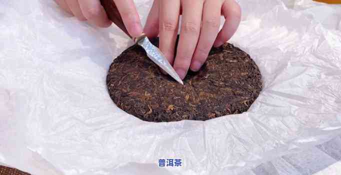 普洱茶饼泡茶步骤全解析：从拆饼到品茗，一文掌握