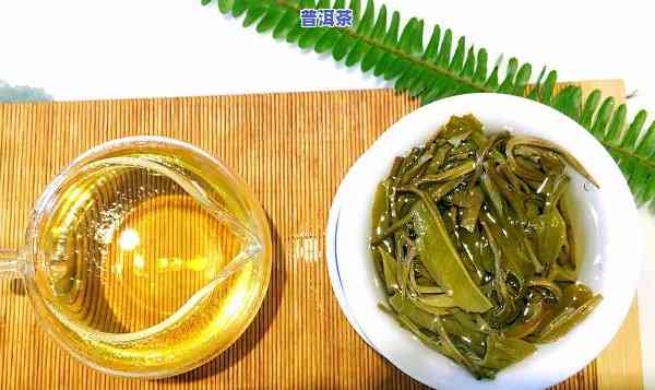 域邦普洱茶的简介，探索域邦普洱茶：熟悉这类特别的茶叶