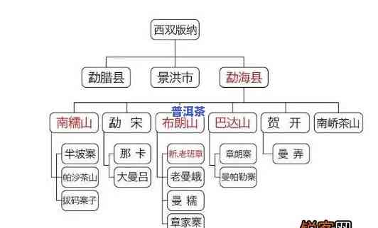 普洱茶产地与和品质特征有关吗，探究普洱茶的产地与其品质特征之间的关系