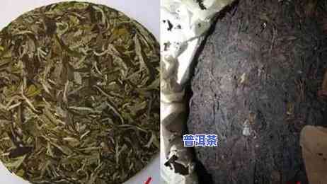 熟普洱茶每天饮用量：多少毫升合适？建议几杯为宜？