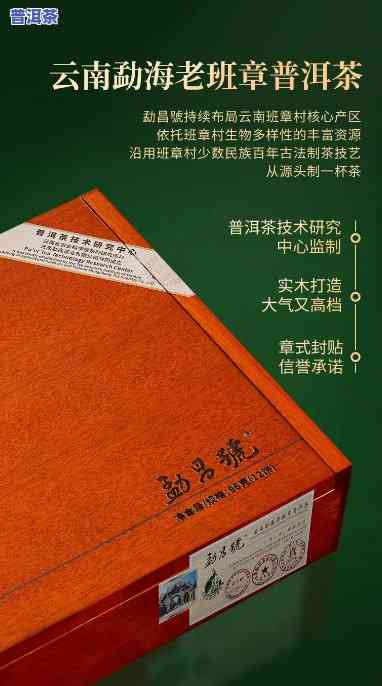 老班章六十二号茶叶：2023年最新茶后，纯正62号口感