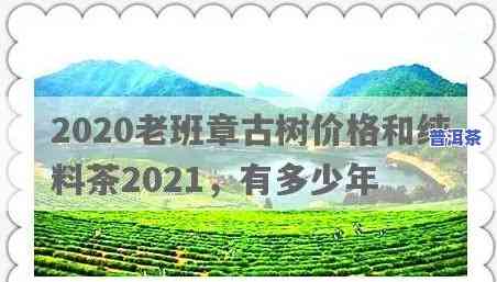 2020老班章古树纯料价格全解析