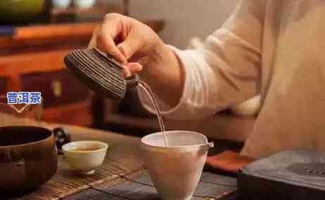 四大普洱名茶是什么茶，探秘茶文化：四大普洱名茶究竟是什么？