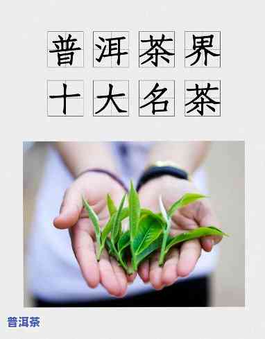 四大普洱名茶是什么-四大普洱名茶是什么茶