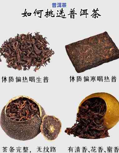 四大普洱名茶是什么-四大普洱名茶是什么茶