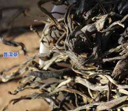 有300年的历史普洱茶-有300年的历史普洱茶吗