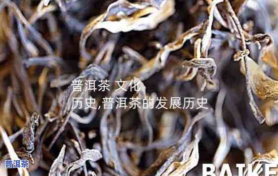 有300年的历史普洱茶-有300年的历史普洱茶吗