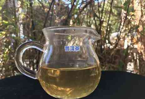 2011头春老班章-老班章2019春茶价位