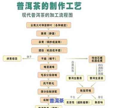 绿茶和普洱茶工艺区别，绿茶与普洱茶：一场工艺的较量