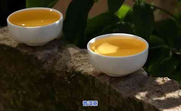 绿茶和普洱茶工艺区别，绿茶与普洱茶：一场工艺的较量