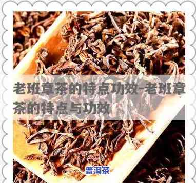 老班章茶口感排行榜-老班章茶口感特点