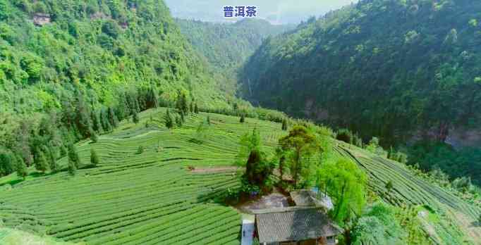 普洱是地名还是茶名-普洱是地名还是茶名好