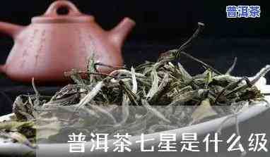 七星普洱茶是什么意思，探秘七星普洱茶：含义与特点解析