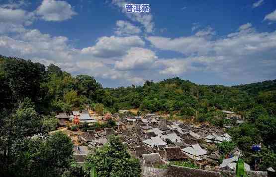 普洱本地人去的地方-普洱本地人去的地方有哪些