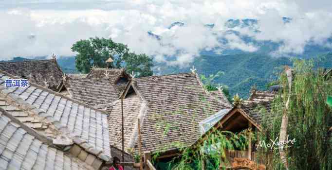 普洱本地人去的地方-普洱本地人去的地方有哪些