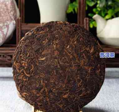 普洱茶100克饼加工费-普洱茶100克饼加工费多少钱