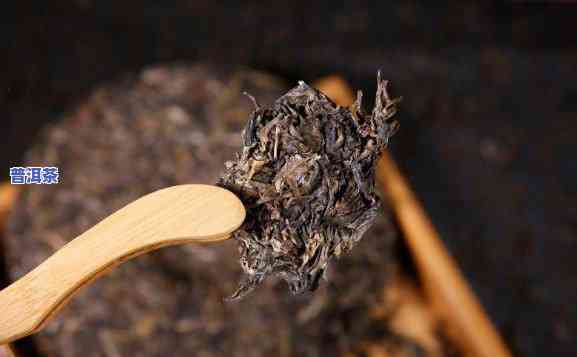 普洱茶饼碎成渣能否饮用？有无害风险？