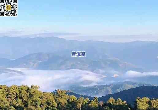 普洱七大茶山叫什么，探秘普洱七大茶山：品味历史与自然的交融