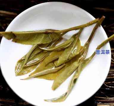 普洱茶叶怎样储存更好，普洱茶叶的正确储存方法：让你的茶叶口感更佳