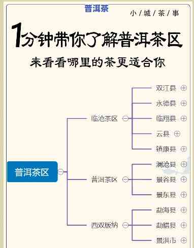 普洱产地是哪个地方的茶，揭秘普洱茶的产地：你所不知道的事实