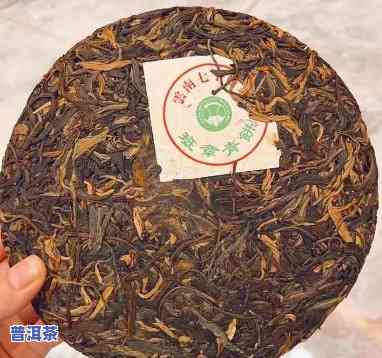 老同志班章青饼：价格全解析