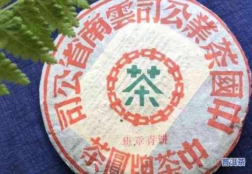 中茶普洱茶2003年，品味历史：探索中茶普洱茶2003年的魅力