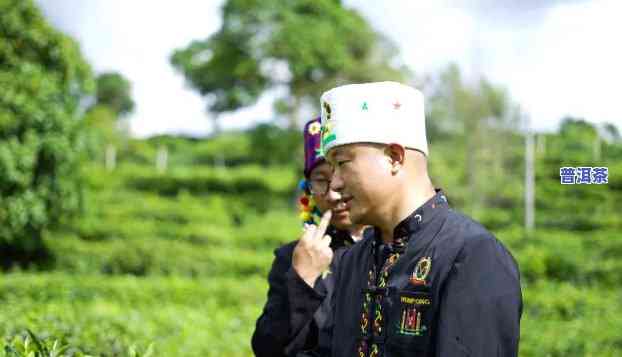 布朗山老班章村：茶农协会与村民小组的发展探索