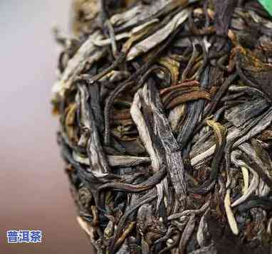 福州老树普洱茶保存多久更好，福州老树普洱茶的更佳保存期限