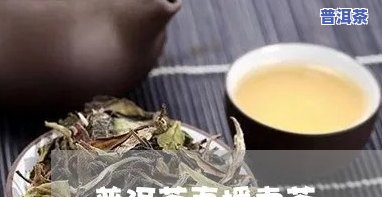 网红金姐卖普洱茶一个月-网红金姐卖普洱茶一个月赚多少钱