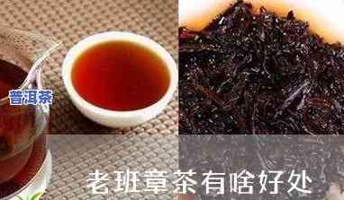 老班章茶是什么做的-老班章茶的作用