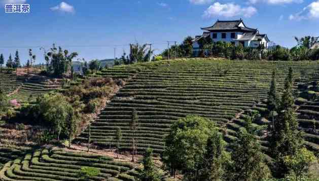 普洱思茅：必去景点推荐