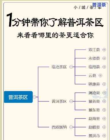 普洱茶区隶属关系详解：指明归属、含义及形式