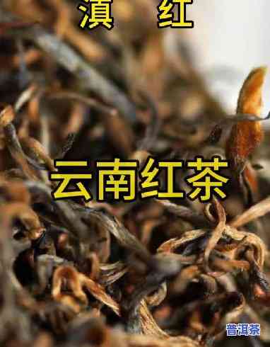 云南红茶是不是为普洱茶类-云南红茶是不是为普洱茶类