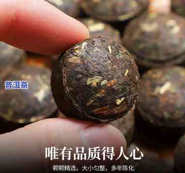 普洱糯米香沱茶-普洱糯米香沱茶有哪些