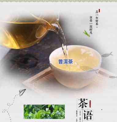 福州老树普洱茶介绍图片，探索福州老树普洱茶的魅力：介绍与图片展示