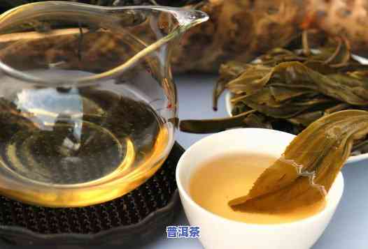 探索普洱茶几大名山：茶叶图片欣赏与详细介绍