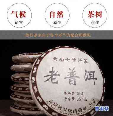 老班章云南七子饼茶2007年价格：云海茶厂出品，多少钱？