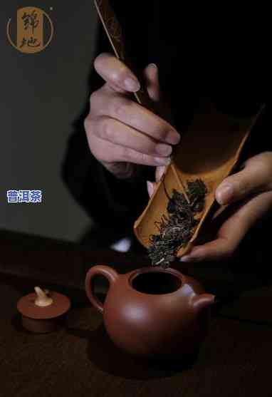 探究普洱茶怪味的起因：深入熟悉其特别口感与品质