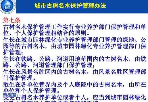 南京市古树名木保护管理办法：全面规定古树名木的保护措施